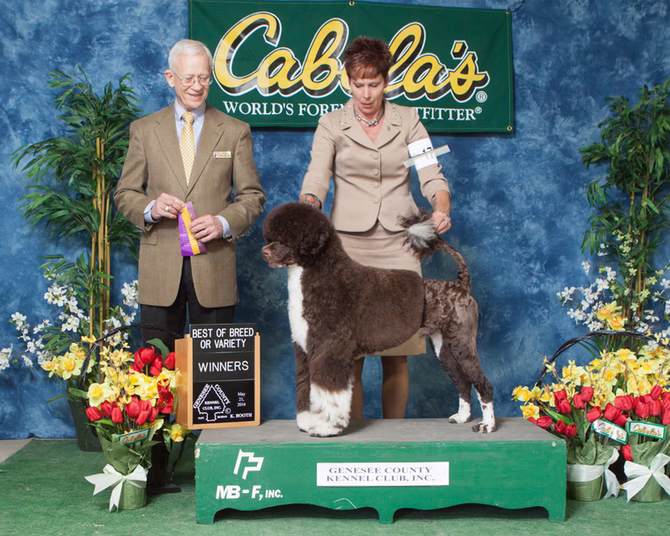 Baby Chase wins Breed!!!!